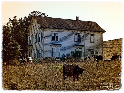 DSC04335-a4.jpg - Ranch House Bloomfield