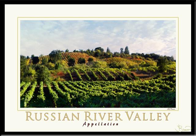 poster-ap-15980-1913-v3.jpg - Russian River Valley Appellation