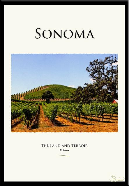 son-all-nomat-15541-1319-v7.jpg - Sonoma Land and Terroir Poster