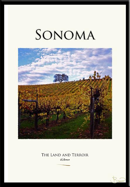 son-all-nomat-16335-6-1319-v7.jpg - Sonoma Land and Terroir Poster