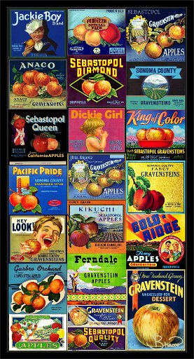poster-fruit-s2-grav-13x25.jpg - Vintage Fruit Crate Labels -6