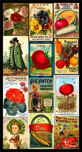 poster-seeds-s1-1-13x25.jpg - Vintage Seed Packets -8