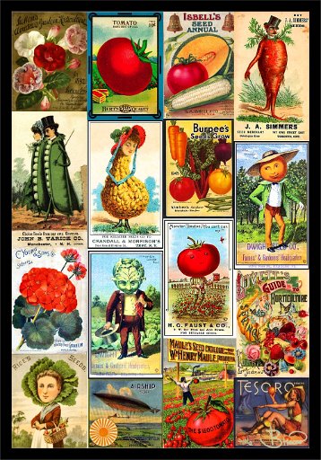 poster-seeds-s1-2-13x19.jpg - Vintage Seed Packets -9