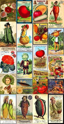 poster-seeds-s1-3-13x25.jpg - Vintage Seed Packets -8