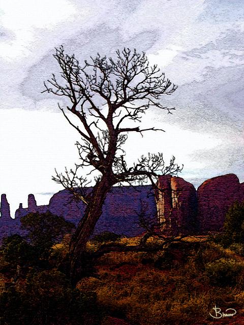 DSC01251-a1.tif - Canyon Tree, Utah