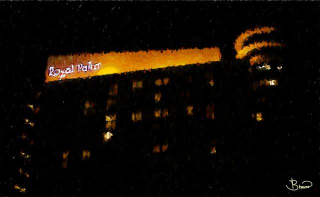 DSC02252-2-a1.jpg - Royal Palm at night