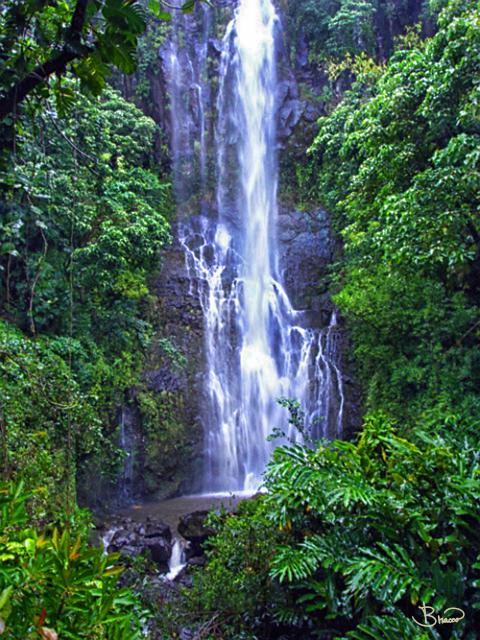DSC00638.tif - Falls, Hana, Maui