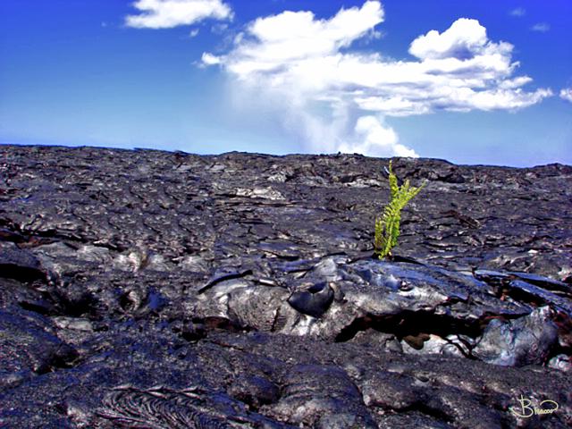 DSC00755.tif - Volcanoe, Muana Loa