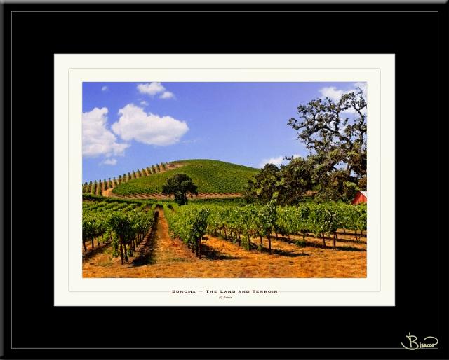 Sonoma Rural Heritage Collection