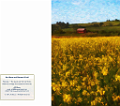 cards-sonoma_country-lg31