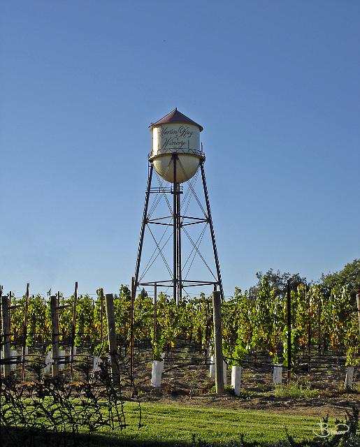 DSC15996.JPG - Russian River Valley Winery